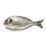Orata Selvaggia