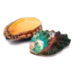 Abalone o Orecchia di mare