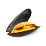 Cozze
