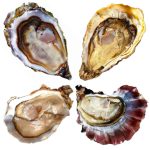 Diamanti del Mare