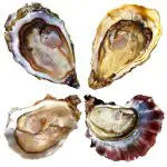 Diamanti del Mare