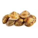 Tartufi di mare o noci