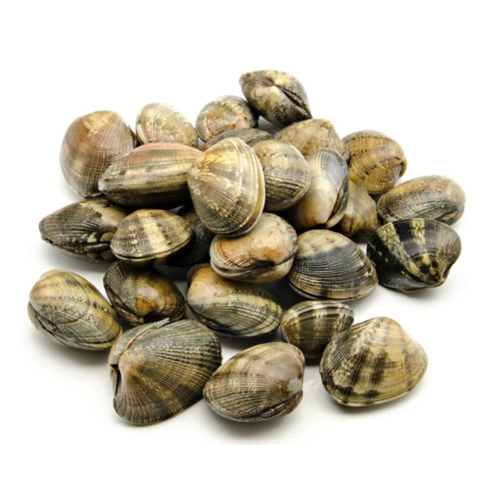 Vongole Veraci pescate - immagine 1
